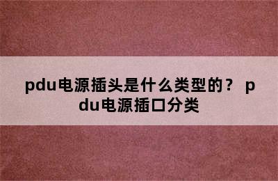 pdu电源插头是什么类型的？ pdu电源插口分类